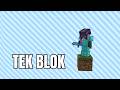 Minecraft Tek Blok Sunucusu - Server Tanıtımı - RonemaCraft