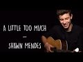 A Little Too Much - Shawn Mendes (Lyrics)