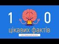 10 Цікавих Фактів про людський мозок, які ви могли не знати / Ягич Вікторія