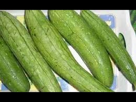 286-How to grow TURAI/LUFFA /RIDGED GOURD /DODKA /GILKI /TORI from seed