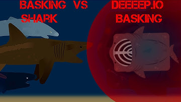 IRL Basking Shark VS Deeeepio Basking | Deeeep.io StickNodes Animation