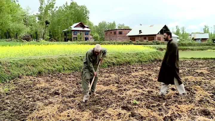 Ad Film on Mahatma Gandhi NREGA Employment Guarantee Act