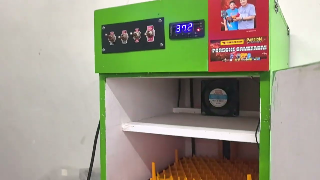 Upgraded  Incubator ST 1000 sinotimer to Lilytech Thermostat