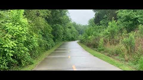 Habitat Fragmentation