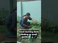 #trendingvideo #gardening #plants #green #greenary #viral #viralvideo