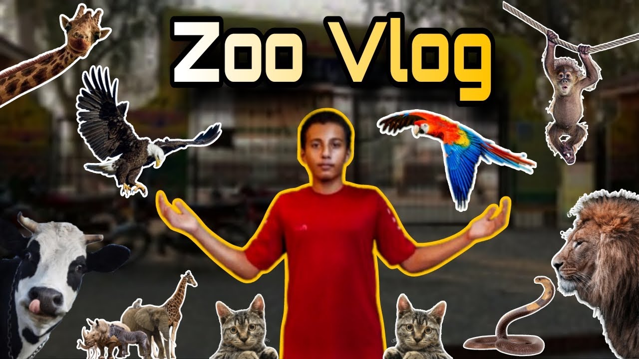 Visiting Bahawalnagar || Zoo || With Czns || FUN WITH TANIS 