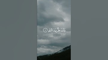 تلاوة هادئة من سورة البلد للشيخ محمد صديق المنشاوي