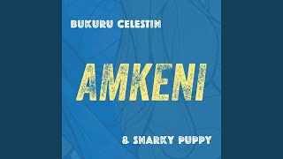 Video thumbnail of "Snarky Puppy - Amkeni"