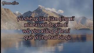 Wo Gai Zen Me Cai Neng Fang Xia Ni 我该怎么才能放下你 (bagaimana aku bisa melepaskanmu) Xin Jie 心姐 Lyrics