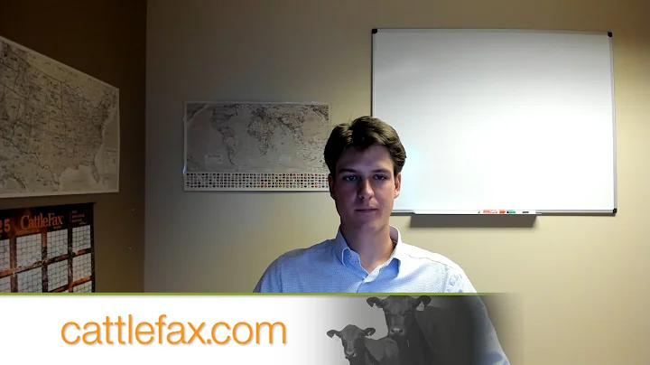 Opening Bell: November 10, 2025