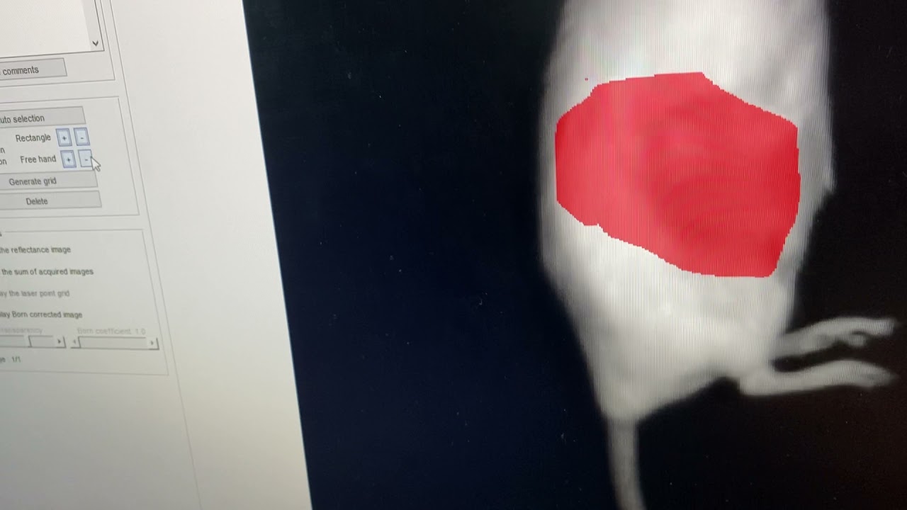 Demonstration of Trans-Fluorescence with PRISM In Vivo Imaging System