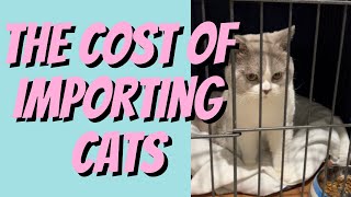 How Much Does It Cost To IMPORT A Cat To Australia? by Cat Breeding for Beginners 361 views 2 months ago 7 minutes, 7 seconds