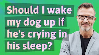 Should I wake my dog up if he's crying in his sleep?