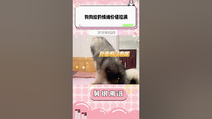 主人和小狗玩捉迷藏，狗狗情绪价值拉满