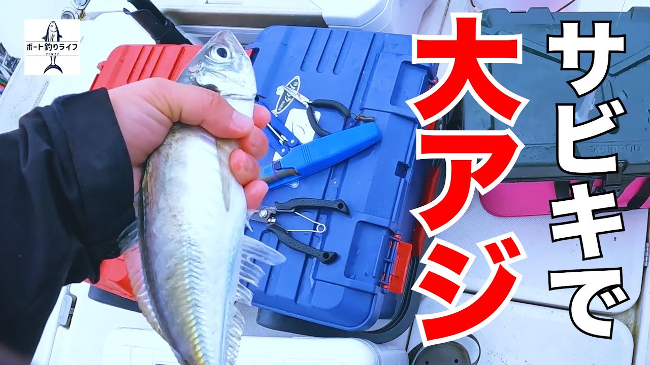 船でのサビキで大アジを狙う そしてあの大きな魚も釣れる 船釣り 一つテンヤ サビキ プレジャーボート Yfr27 Youtube