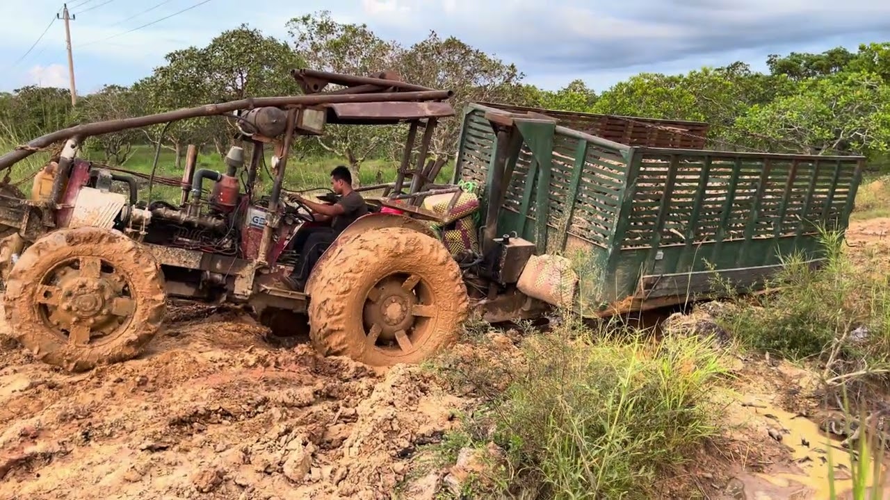 TUBO hí như ngựa vẫn phải đầu hàng trước hố bom sâu