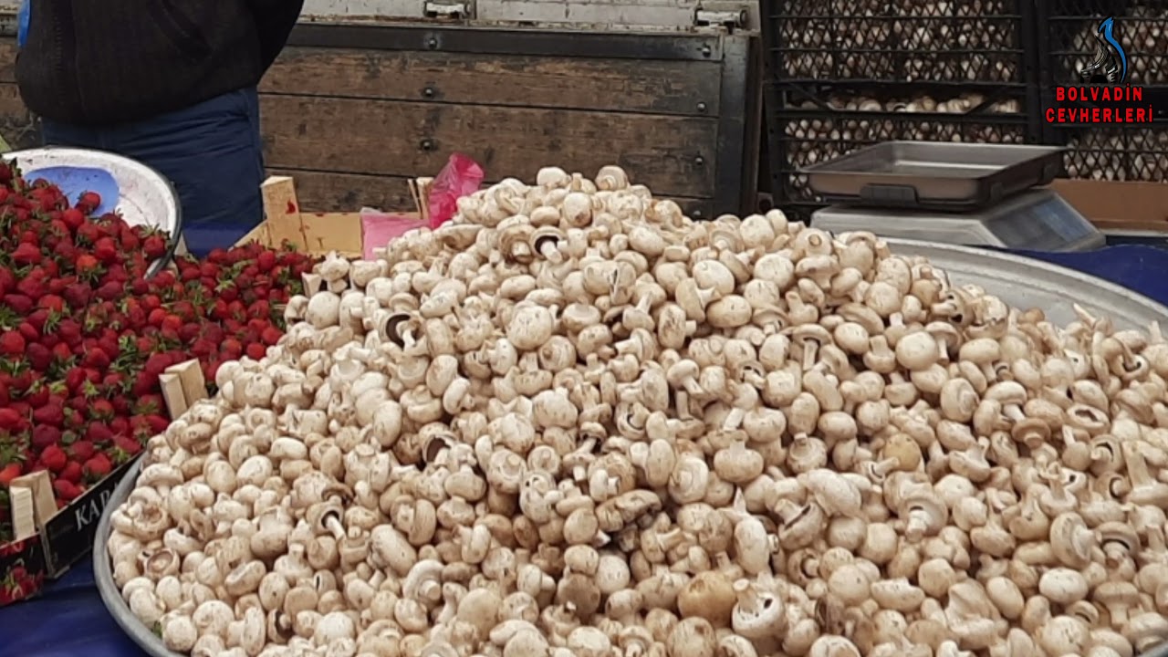 Bolvadin Pazarpazarından...