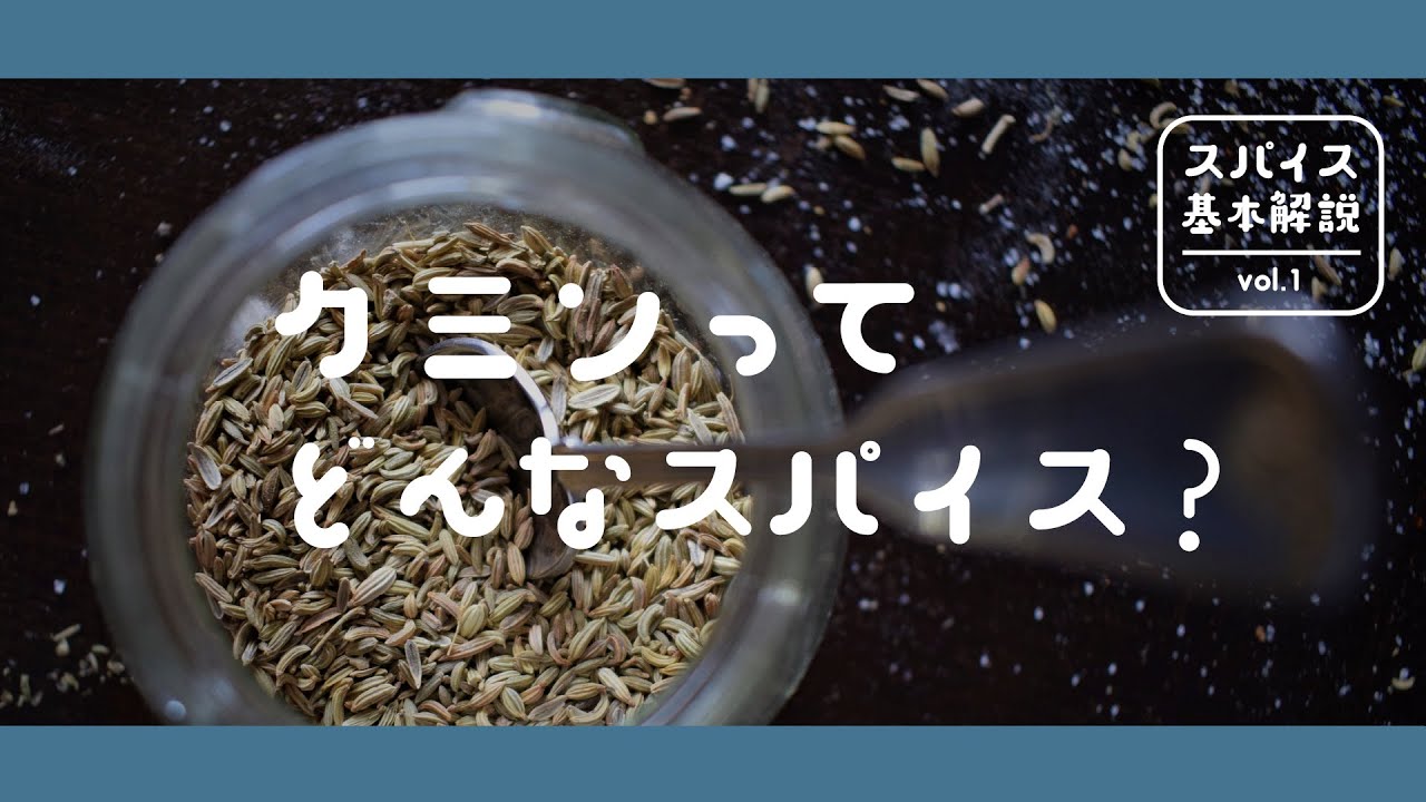 クミンってどんなスパイス？ 【ビギナーのためのスパイス基本解説 vol.1】