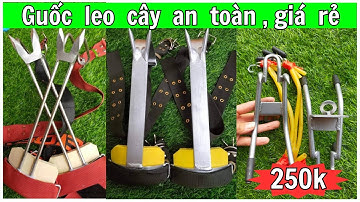 Dụng Cụ Trèo Cây Đa Năng| Guốc Trèo Cây 2 Đinh Mới Nhất 2023| Cách Sử Dụng An Toàn - Hiệu Quả