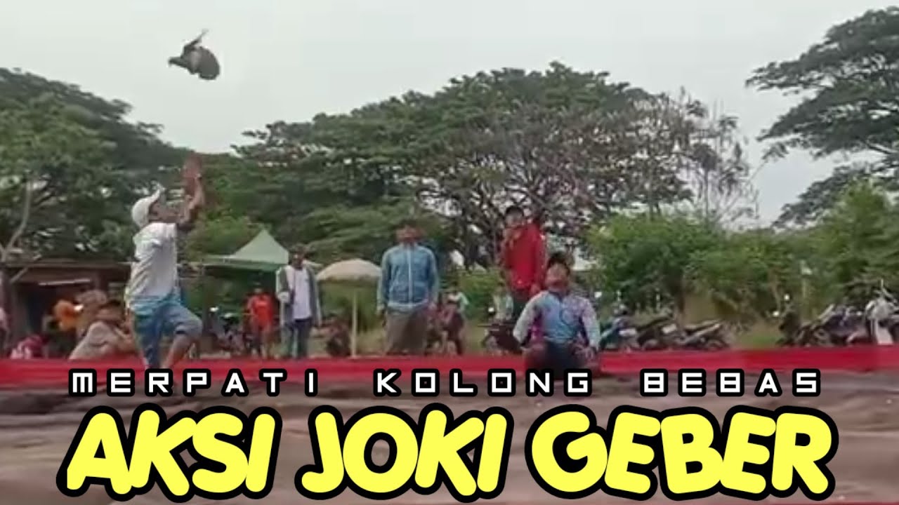 🔴AKSI JOKI GEBER DI LAPKOL//TEAM KENWOOD//TEAM BARON//MERPATIKU//TEAM ...