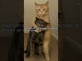 is your mother like this #mother #like #this