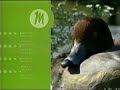 Maryland public television  duck station ident 1999  2004