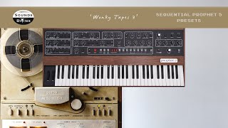 Celebrity SoundsDivine 'Wonky Tapes Vol.3' - Sequential Prophet 5/10 Net Worth