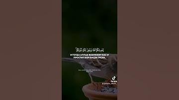 قل ان كنتم تحبون الله فاتبعوني |اسلام صبحي|islam sobhi|مقطع قران|تلاوة هادئة|ارح قلبك|Quran|