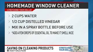 Stretching Your Dollar: Cleaning products