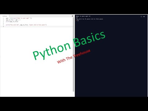 Python Tutorial 1 "Python Basics" || The Treehouse