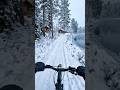 Riding in snow ❄️#cycling #winter #snow