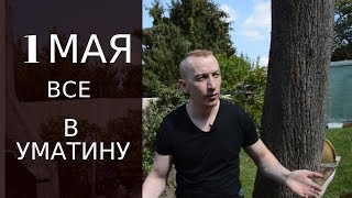 1 МАЯ в ГЕРМАНИИ И ПЬЯНАЯ МОЛОДЁЖ