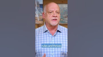 The Art of Leading Self-organizing Teams