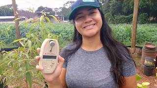 OPERATION OF THE OPTI SCIENCES CHLOROPHYLL METER CCM 200