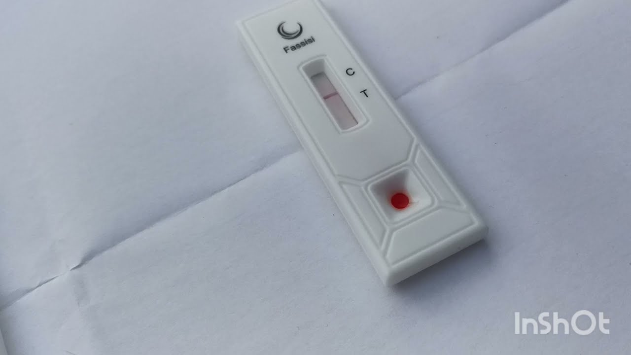 Тесты на стельность. Обзор.