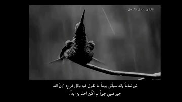 أجمل حالات واتساب تلاوة/ بصوت نايف الفيصل /مقاطع دينيه قصيرة