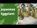 Japanese Eggplant in Coconut Milk