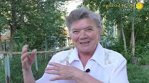 Чем опасна бабочка боярышница? До смешного простое решение проблемы!