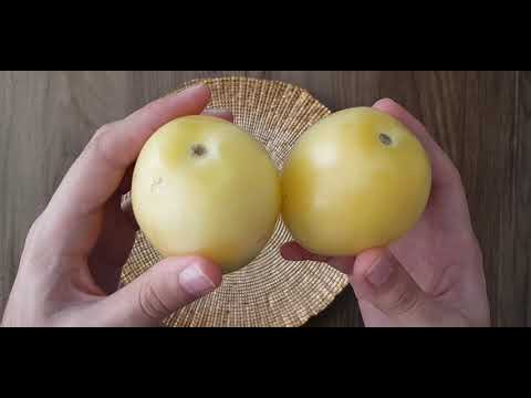 Video: Pepino Nədir?