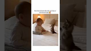 this is the most adorable video you'll see on the internet today☺️💕