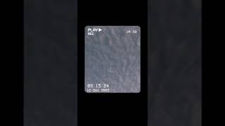 Beautiful puffy sky and bird call asmr to start the weekend