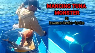 Mancing tuna monster terbesar di kawanan lumba - lumba!.