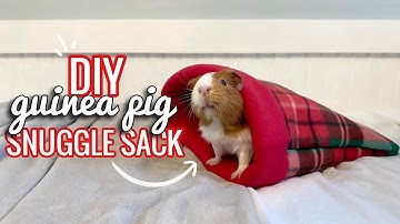 DIY Guinea Pig Snuggle Sack | Pigmas 2023
