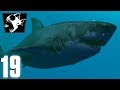 LE GRAND REQUIN BLANC - Feed And Grow #19 (FR)