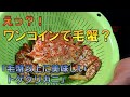 えっ？！ワンコインで毛蟹？「毛蟹以上に美味しいトゲクリガニ」【おうち居酒屋in青森】【陸奥湊駅前朝市】