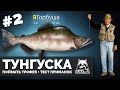 Русская Рыбалка 4 - Стрим #2 Ловим трофейную горбушу + тест приманок.