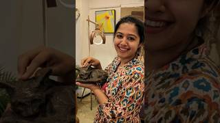 Mini Vlog 19 #design #furniture #artist #antique #collection #pune #swanandisardesai