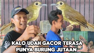 KALO UDAH JADI TERASA PUNYA BURUNG JUTAAN