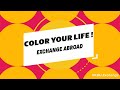 Color your life exchange abroad at hkbu 202425