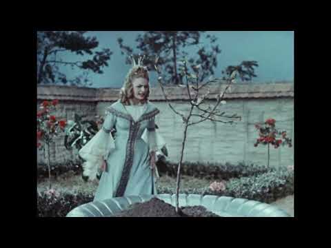 Das singende, klingende Bäumchen (1957) - Jetzt auf Blu-ray und DVD! - DEFA-Märchen bei Filmjuwelen